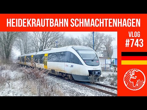 Die Heidekrautbahn | TripReport | Vlog 743