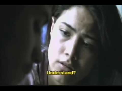 SI SEÑOR AMORES PERROS