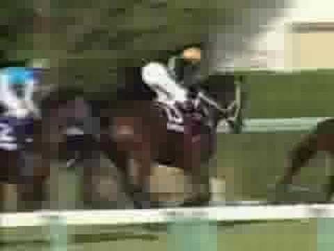 2005 Sprinters Stakes