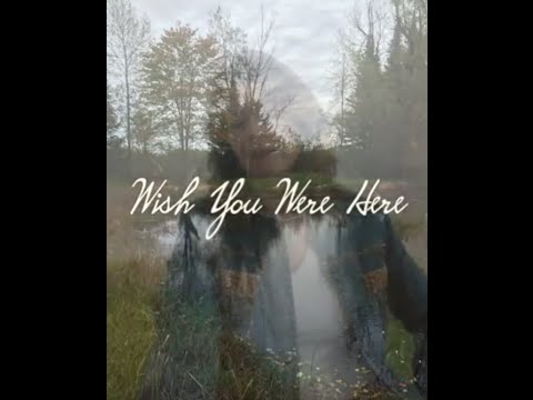 Wish You Were Here video by Cindy Larson