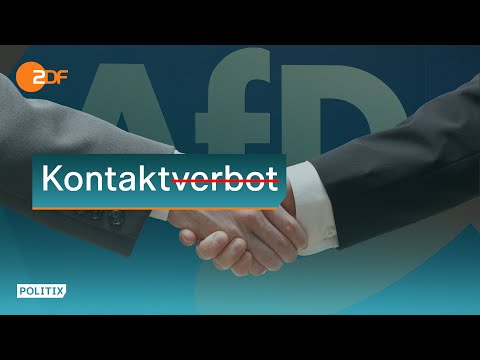 Reden mit der AfD - warum Teile der Wirtschaft es längst tun | POLITIX