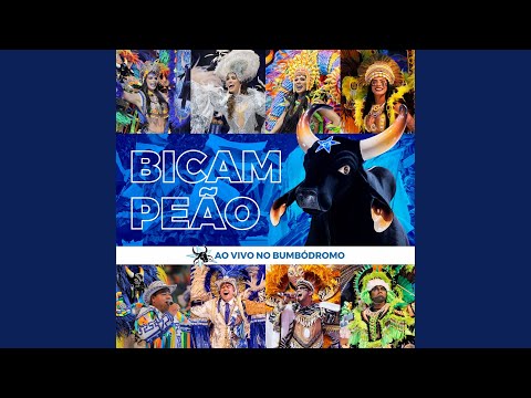 Cunhã Tribal (Ao Vivo)