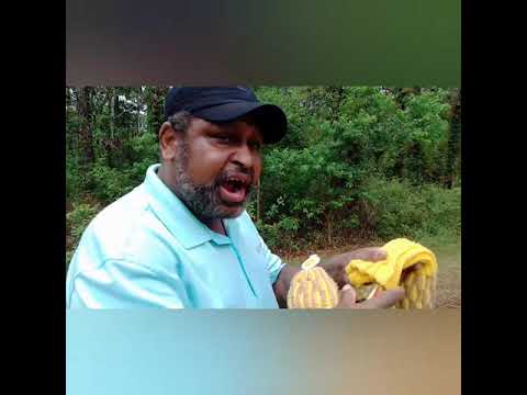 Hogan 88 Apex Redlines