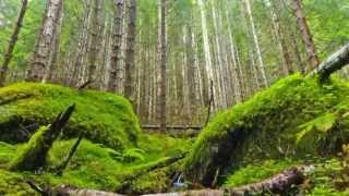 David Garrett - Bach - Air Orchestral Suites №3