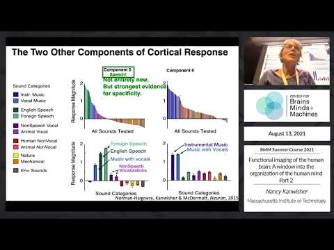Functional imaging of the human brain: A window into the organization of the human mind - Part 2