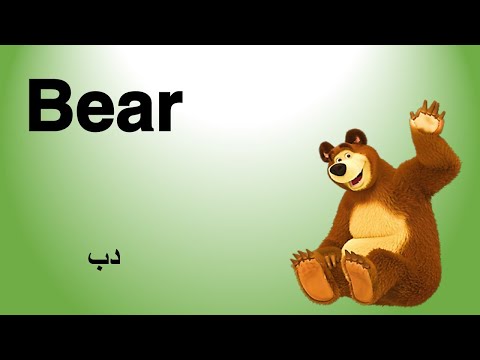 اسماء الحيوانات البرية باللغة الانجليزية Wild animals names