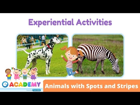 Animals with Spots and Stripes | Facts for Kids | STEM Topic for Kids | Science for Children
