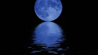 The Soft Rabbits - Cover of Forever Blue by Chris Isaak