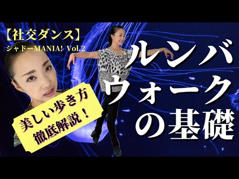 ラテン広場について詳しく解説