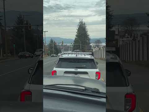 Blowing train horn at cop