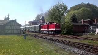 preview picture of video 'Bahnhofsfest Putbus 2013'