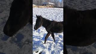 Эбигейл- второй месяц вместе.