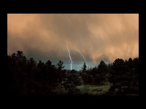 Michiel Van Den Bos - The old man stories