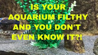 Is Your Tank Filthy and You Don’t Even Know It?!
