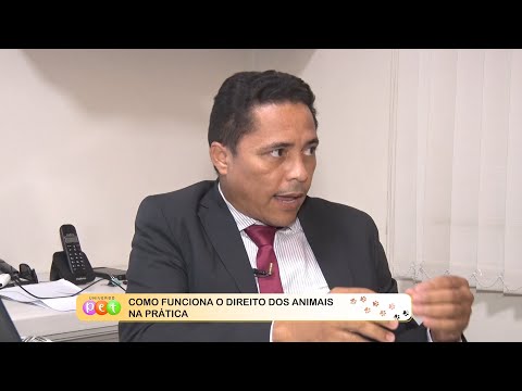 Como funciona o direito dos animais na prática 17 10 2022