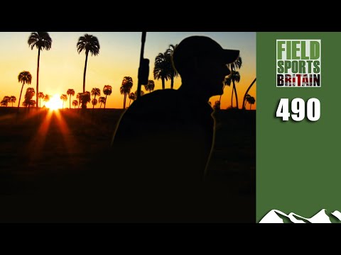 Fieldsports Britain - Hare Hunting in the Heat