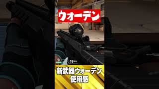 新武器ウォーデンの使用感【VALORANT】