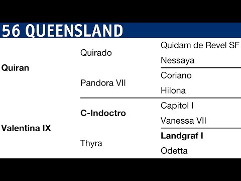 Holsteiner Körung 2018 | Nr. 56 - Queensland