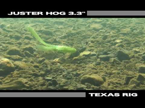 Owner Getnet Juster Hog 5.8cm 01 Green Pumpkin Seed