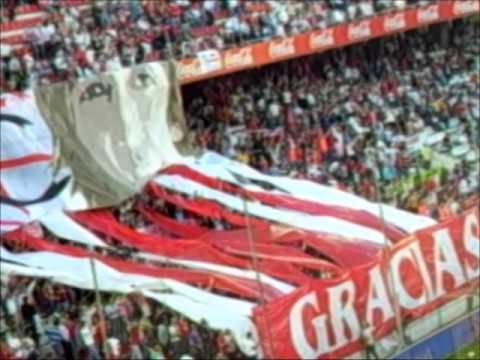 despedida javi navarro