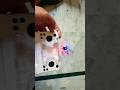World Smallest RC Toy Drone For Kids Drone Toys Youtubeshorts Shorts Minidrones