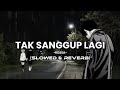 TAK SANGGUP LAGI -Rosa (lirik)