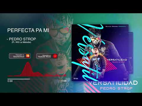 Pedro Strop (Ft. WG La Melodia) - PERFECTA PA MI (Audio Oficial) #VERSATILIDAD