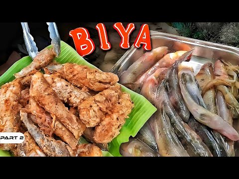 P2-Pandudukot ng Biya - EP1064