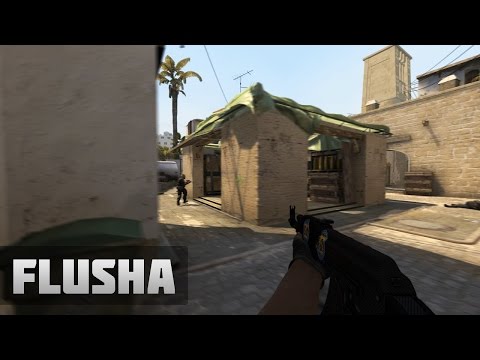 ESWC 2014: flusha vs. Natus Vincere