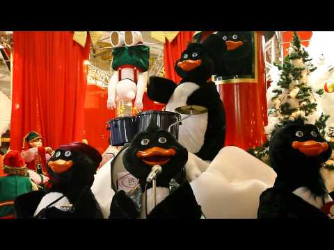 Show dos Pinguins - Buque Animatronics