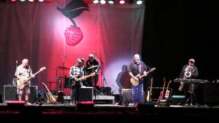 Los Lobos Entire Set at Strawberry Music Festival 2016