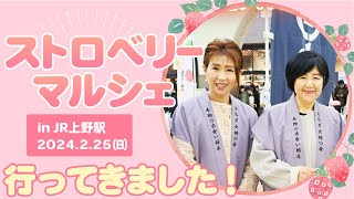 とちぎストロベリーマルシェに行ってきました
