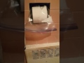 Terbaik How To Stop Kittens Cats From Unrolling Toilet Paper, Video Toilet Paper Cat terbaru!