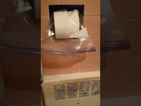 How To Stop Kittens/Cats From Unrolling Toilet Paper