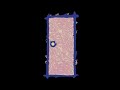 Elmo S World Door Open And Close Sound Effect My Version