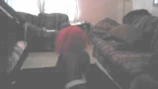 Aidonia &quot;wine and bubble&quot;