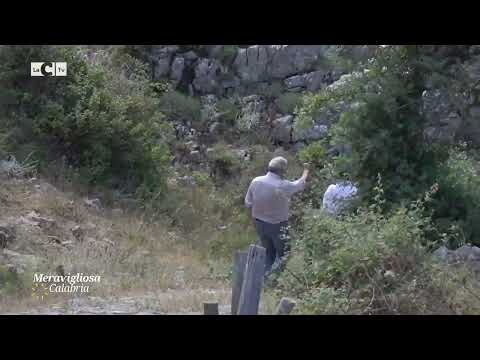 Alla scoperta di Cerchiara di Calabria - Meravigliosa Calabria