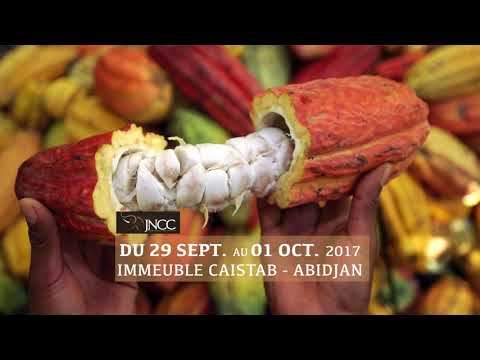 Vidéo galerie
