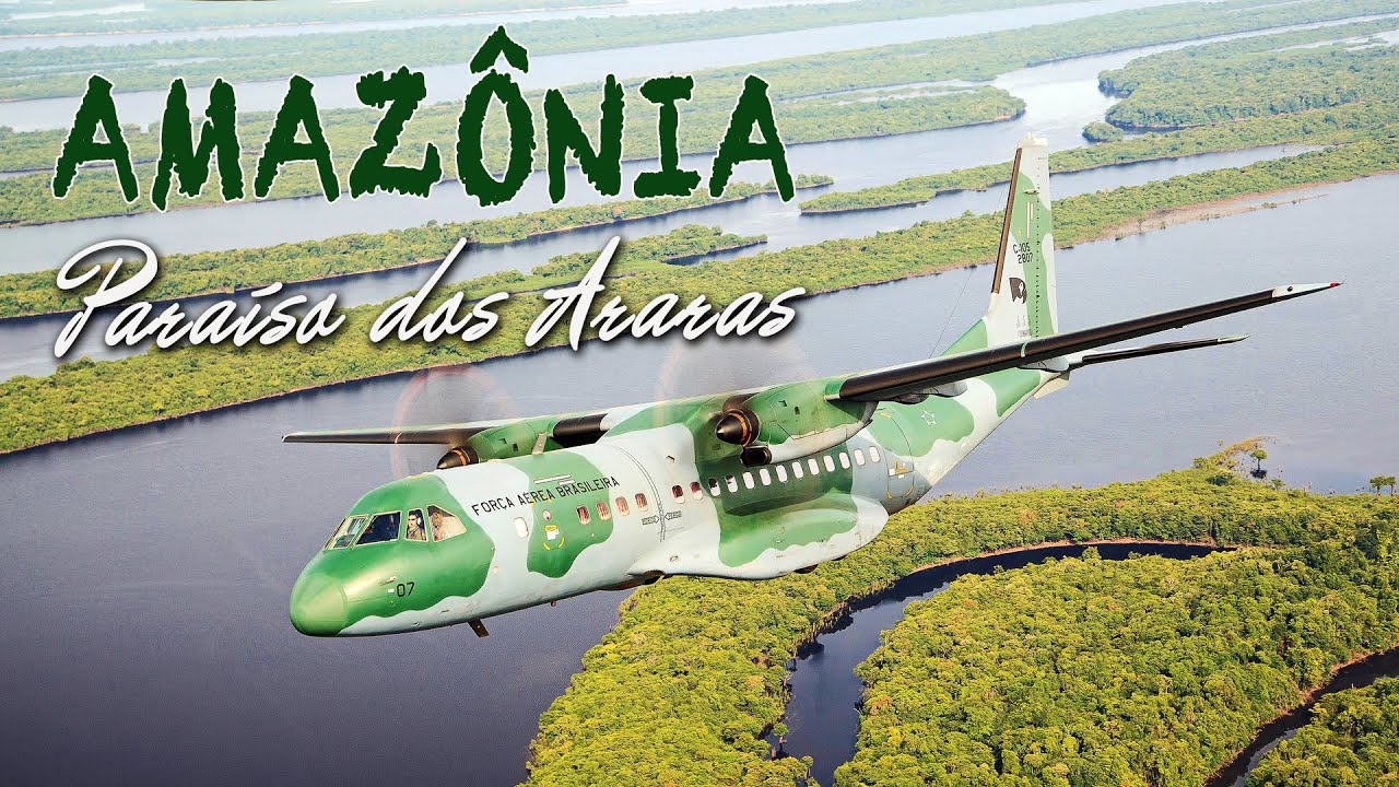 Amazônia: Paraíso dos Araras
