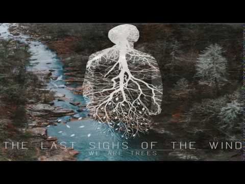The Last Sighs Of The Wind - We Are Trees (Full Album)