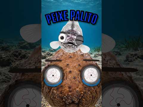 O Peixe Que Vive Dentro do ÂNUS de Outro Animal! #peixes #oceano #curiosidades