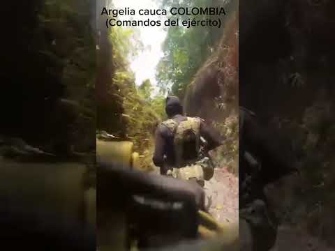 comando colombianos, combatiendo en Argelia cauca