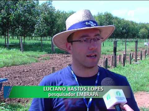 Ourofino em Campo - 05/09/2013