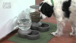 Petmate Replendish Feeders and Waterers | DrsFosterSmith.com