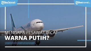 Fakta Unik di Balik Pesawat yang Dicat Warna Putih