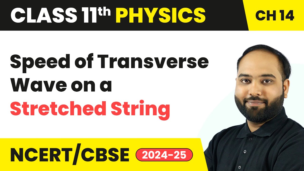 Speed of Transverse Wave on a Stretched String - Waves | Class 11 Physics Chapter 14 | CBSE 2024-25