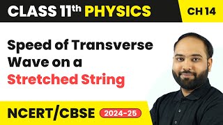 Speed of Transverse Wave on a Stretched String - Waves | Class 11 Physics Chapter 14 | CBSE 2024-25