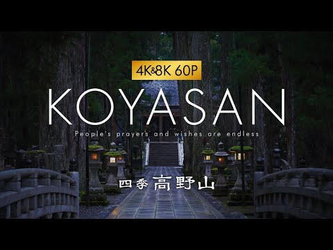 四季 高野山 【#4k  #8k  #60p 】【サンプル動画】【#絶景 #四季 】