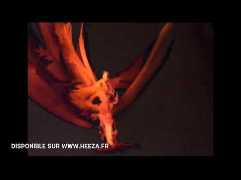 DVD/Blu-Ray : UN RÊVE SOLAIRE - Extrait