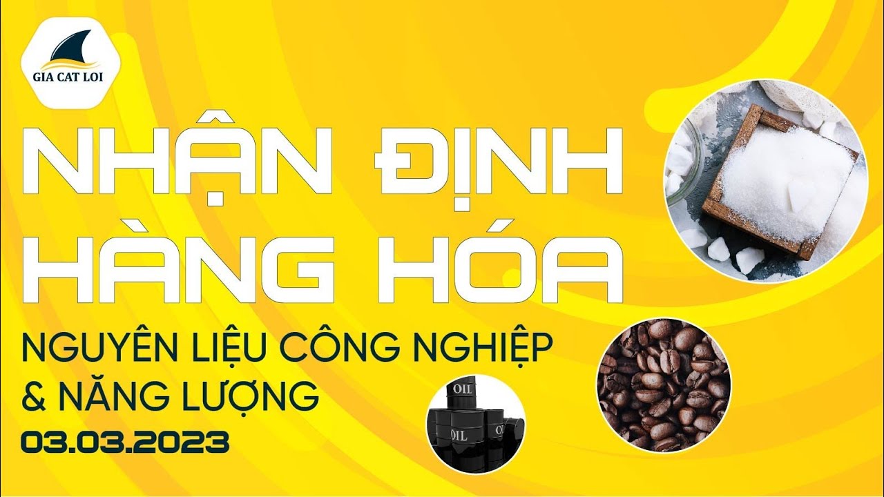 Nhận Định Hàng Hoá Năng Lượng & Nguyên Liệu Công Nghiệp Ngày 03/03/2023